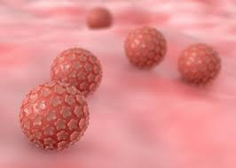 Humaan Papillomavirus Meest voorkomende SOA Verband tussen HPV infectie en baarmoederhalskanker Sinds 2007:
