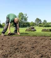 Graszoden Voor een snel resultaat wordt soms gekozen voor graszoden. Maar in periodes van droogte kan de doorworteling al eens voor problemen zorgen.