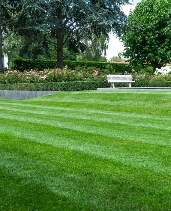 25 Waarom een gazon 3 keer per jaar bemesten? Alles dat groeit, verbruikt voedsel. Een onberispelijke grasmat is een continu proces van vernieuwing van de grassprietjes.