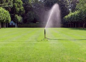 Regelmatig maaien houdt het gras op de gewenste hoogte en heeft een positieve invloed op de dichtheid van de grasmat (uitstoeling).