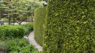 met lange nawerking (tot 100 dagen) Met magnesium voor intens groene bladeren Met kalium voor een goede weerstand tegen droogte en koude 41 Hagen Buxus Coniferen Groene sierheesters MINIGRAN