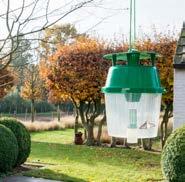 Pas het biologisch insecticide FlorBac toe vanaf de eerste waarneming van rupsen. Enkele minuten na opname stopt de vraat. Drie tot vier dagen later sterft de rups. J F M A M J J A S O N D erk.