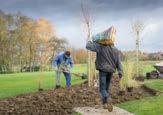 TECHNOLOGY 60 % OS verpakking: 25 kg bodemverbeterend middel, rijk aan organische stof waarin bacteriën gemengd zijn DCM VIVIMUS FOR ORGANIC GROWING