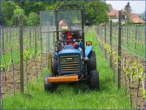 lagere zonnestand meer schaduw In koele, natte