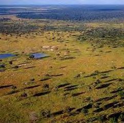Het Hwange National Park is ook het voornaamste park in Zimbabwe dat wordt bevolkt door een enorme