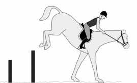 Het gaat erom dat je harmonisch meegaat met de bewegingen van je paard en dat je stevig en mooi in balans blijft zitten.