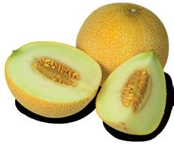 Meloen 1 49