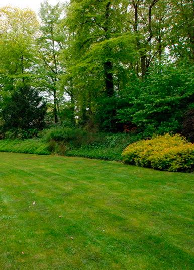 gelegen terras, een gazon en prachtige bomen rondom.