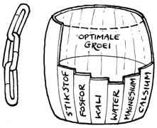 Fig. 2.12 De minimum groeifactor bepaalt de hoogte van de opbrengst.