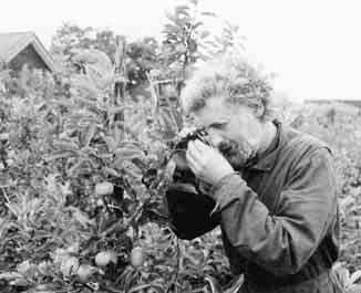 Hoewel je in de fruitteelt bepaalde plagen met roofvijanden kunt bestrijden, moet je tegen andere ziekten en plagen toch chemische middelen gebruiken.