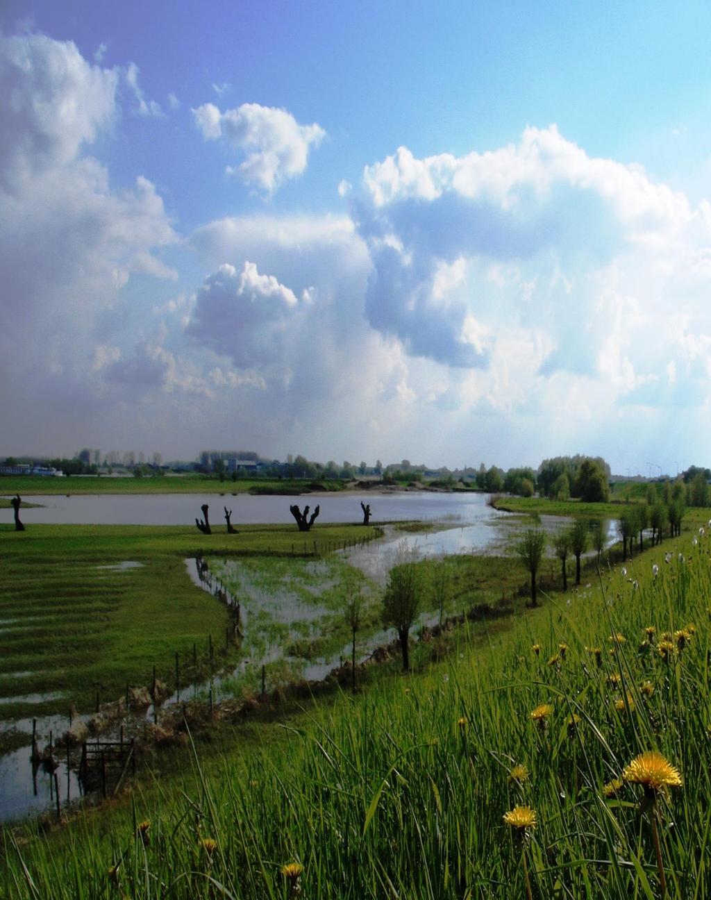 NOTA RESERVES EN VOORZIENINGEN Gemeente Neder-Betuwe Dodewaard Echteld IJzendoorn