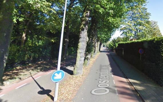 De suggestiestroken zijn ongeveer 90 cm breed. Aan weerzijden van de rijbaan ligt een trottoir. Op de Oosterduinweg (meetpunt 41) geldt een maximale toegestane snelheid van 50 km/u.