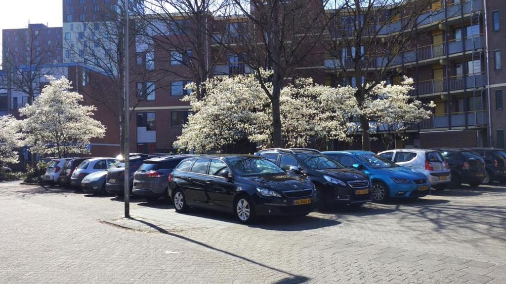 Waarnemingen Hovenbuurt (2) Parkeerdruk binnen de blauwe zone Als gevolg van werknemers of bezoekers van het Stadshart Voornamelijk op parkeerplaatsen waar de blauwe streep is verwijderd Dit geldt