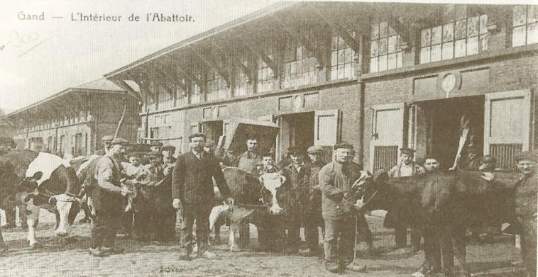 De nog niet overdekte Nieuwe Beestenmarkt in 1902.