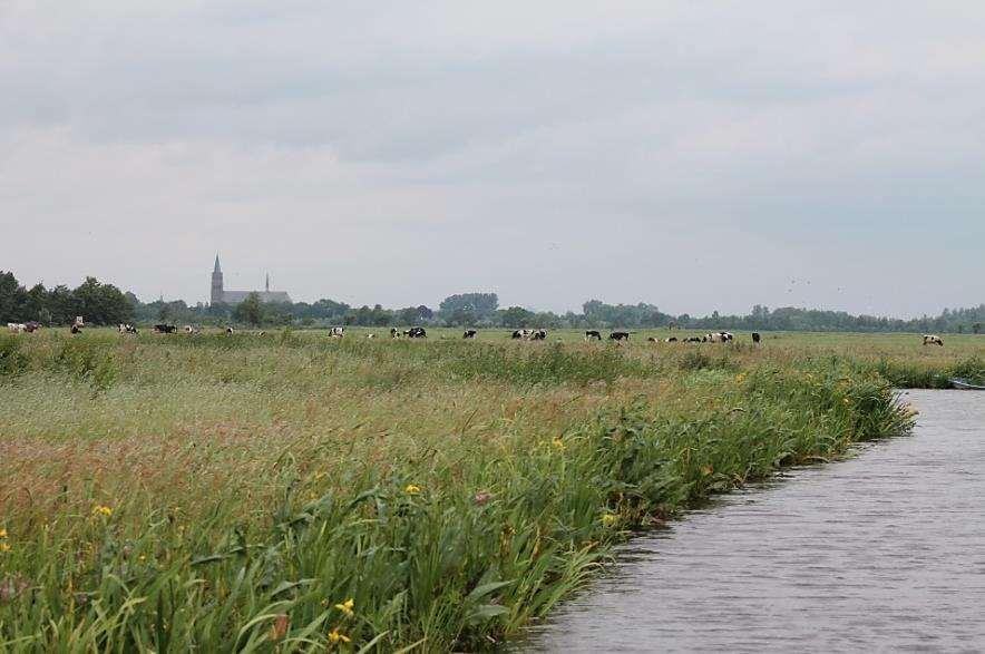 Gebiedscoöperatie Rijn, Vecht en