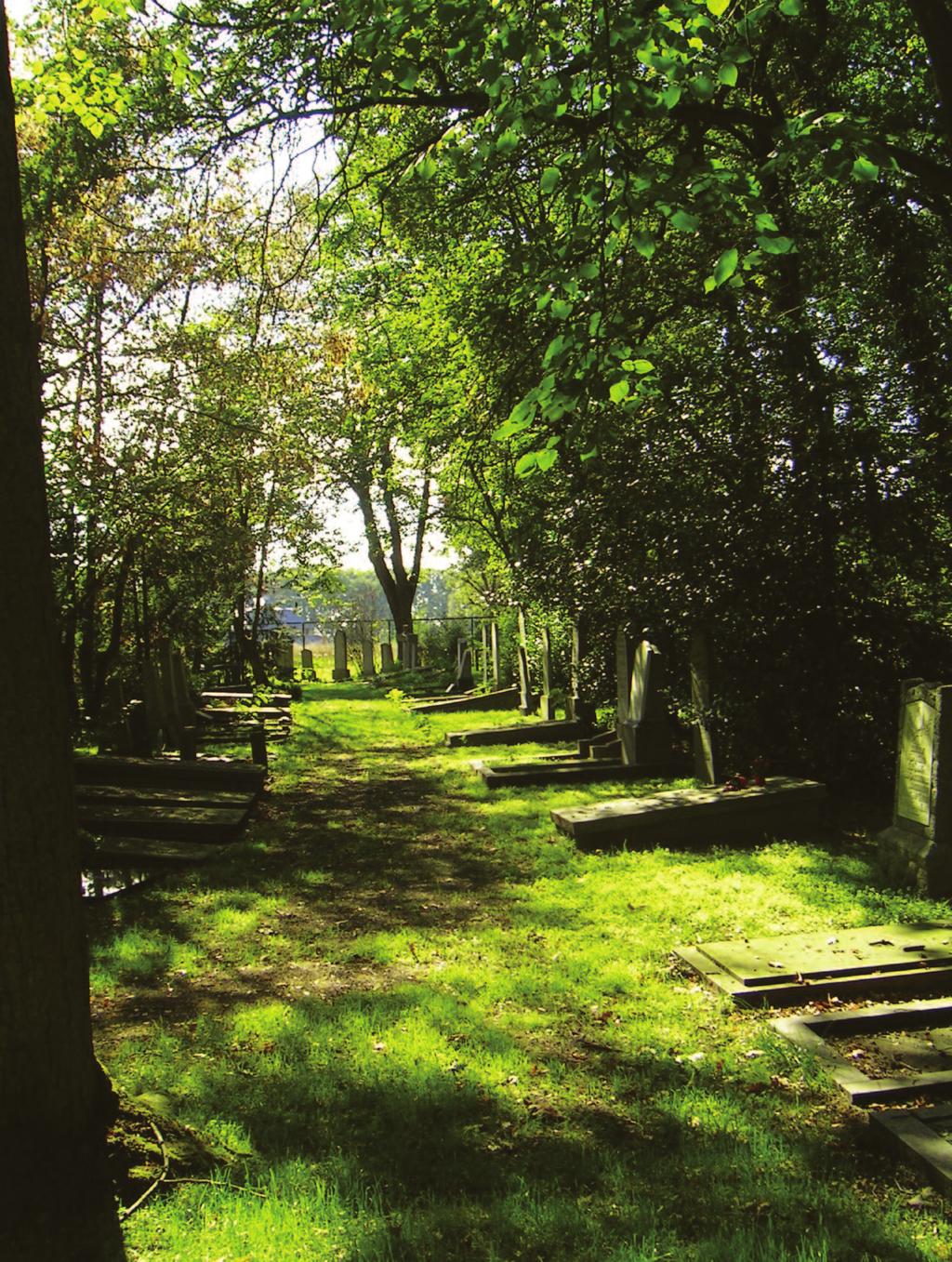 Begraafplaatsen Dwalen over Rustoord et werken voor de Wijkkrant kan zo zijn voordelen hebben.
