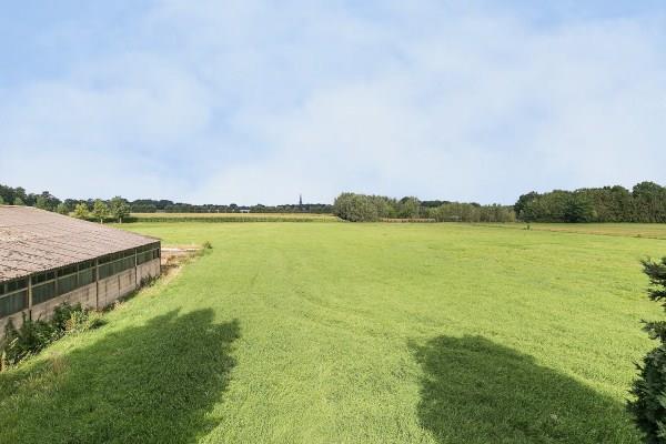 een totale oppervlakte van ca. 40.000 m².