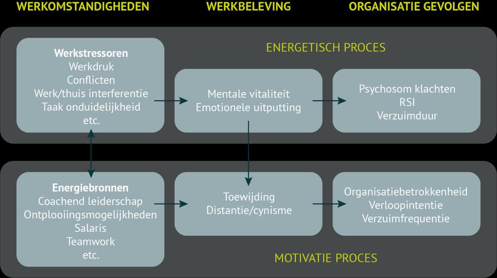 Vragenlijst Mentale Vitaliteit Het model is eigenlijk in drieën op te delen; links staan de werkstressoren en energiebronnen (werkomstandigheden) die invloed hebben op het midden, de mate van