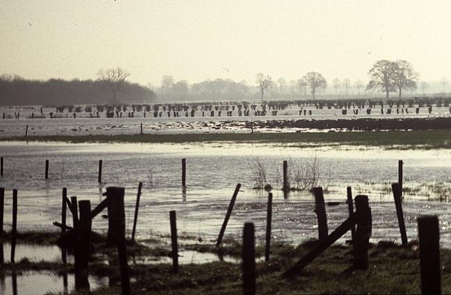 dik sneeuwdek stijgt eerst snel