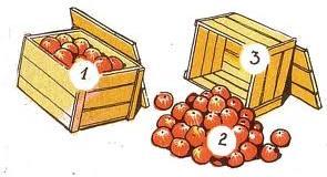 Bruto, netto en tarra Bruto 1) Alles samen : appels + kist Netto 2) appels Tarra 3) kist Gemiddelde Alles optellen en dan delen door het aantal.