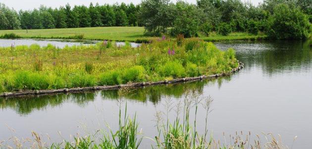 Toelichting afkoppeling Wat is scheiden en afkoppelen? Keuring Waarom scheiden en afkoppelen?