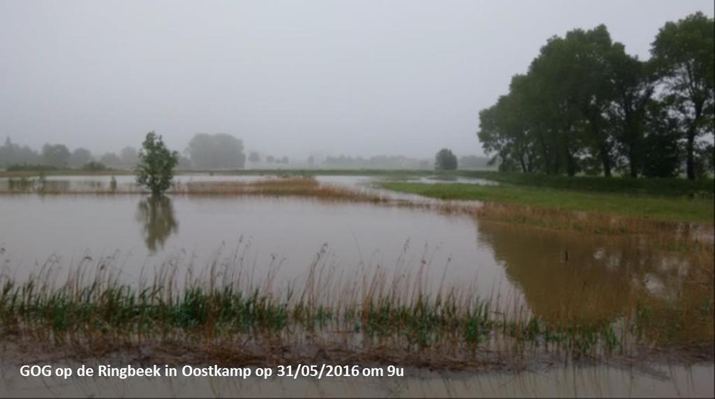 Figuur 17: Gecontroleerd overstromingsgebied op de Ringbeek te Oostkamp in werking tijdens de hevige neerslag van 31 mei 2016 ( Provincie West-Vlaanderen - Dienst Waterlopen) SIGNAALGEBIEDEN