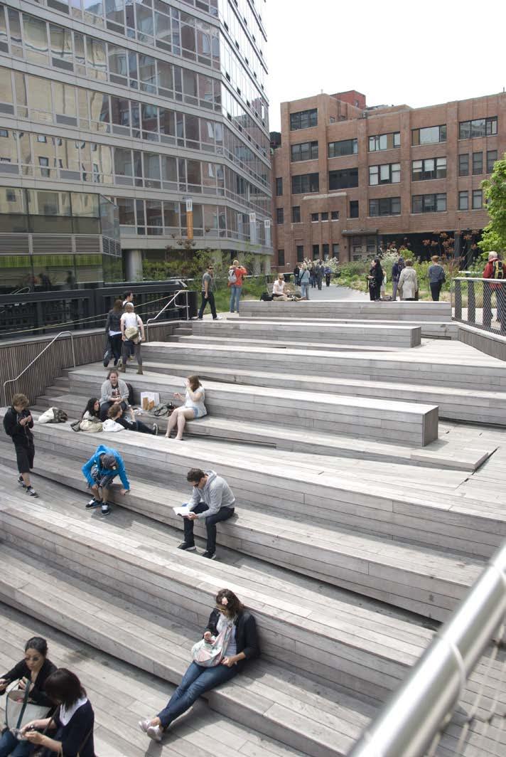 New York Highline Lessen 1. Maatschappelijk initiatief: stichting Friends of the Highline 2.