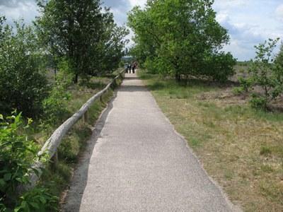 3 Wat komt een persoon met een fysieke beperking tegen bij de voorbereiding van een bezoek (BTB) - via informatie op papier: Op de achterkant van kaart 18 van Staatsbosbeheer staat onder het kopje