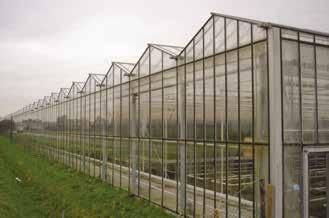 utiliteitsbouw agrarische functies Tuinbouwkas (Venlo) hoog laag 110021 Kenmerken Loods van staalconstructie op poeren. Gevels en dak met stalen kozijnen, enkel glas. Looppaden van betontegels.