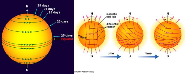 Differentiële rotatie van de Zon We kunnen zonnevlekken volgen: de Zon roteert, maar de