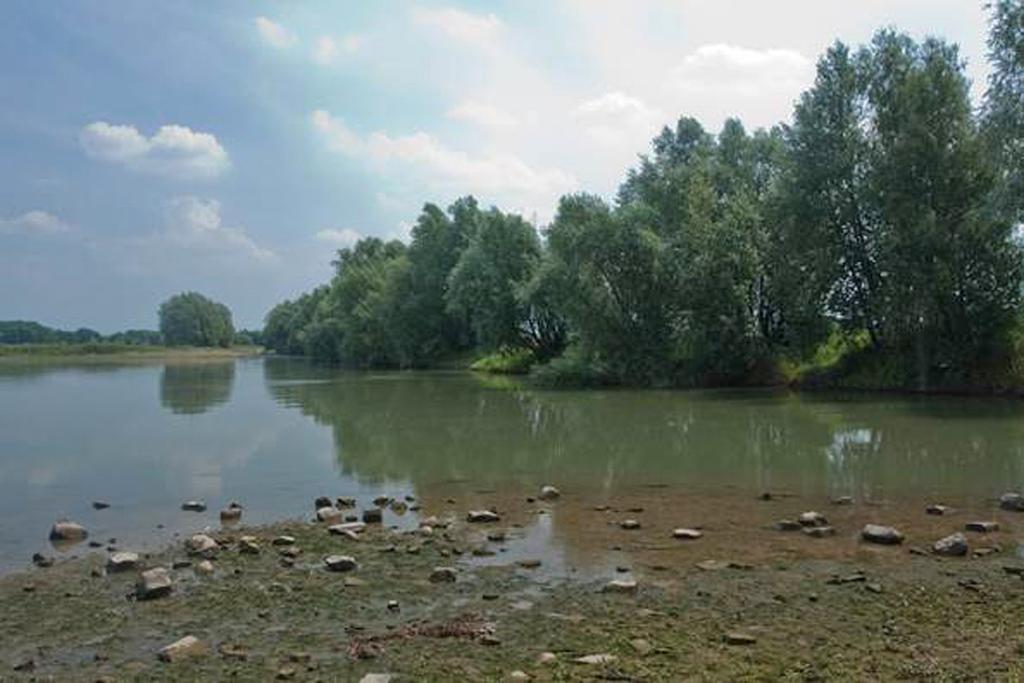 ontwikkeling+beheer natuurkwaliteit VERSLAG Studiedag Vis in uiterwaarden 2 Nevengeulen: kraamkamer voor vissen Martijn Dorenbosch van Bureau Waardenburg kijkt terug op diverse onderzoeken die in het