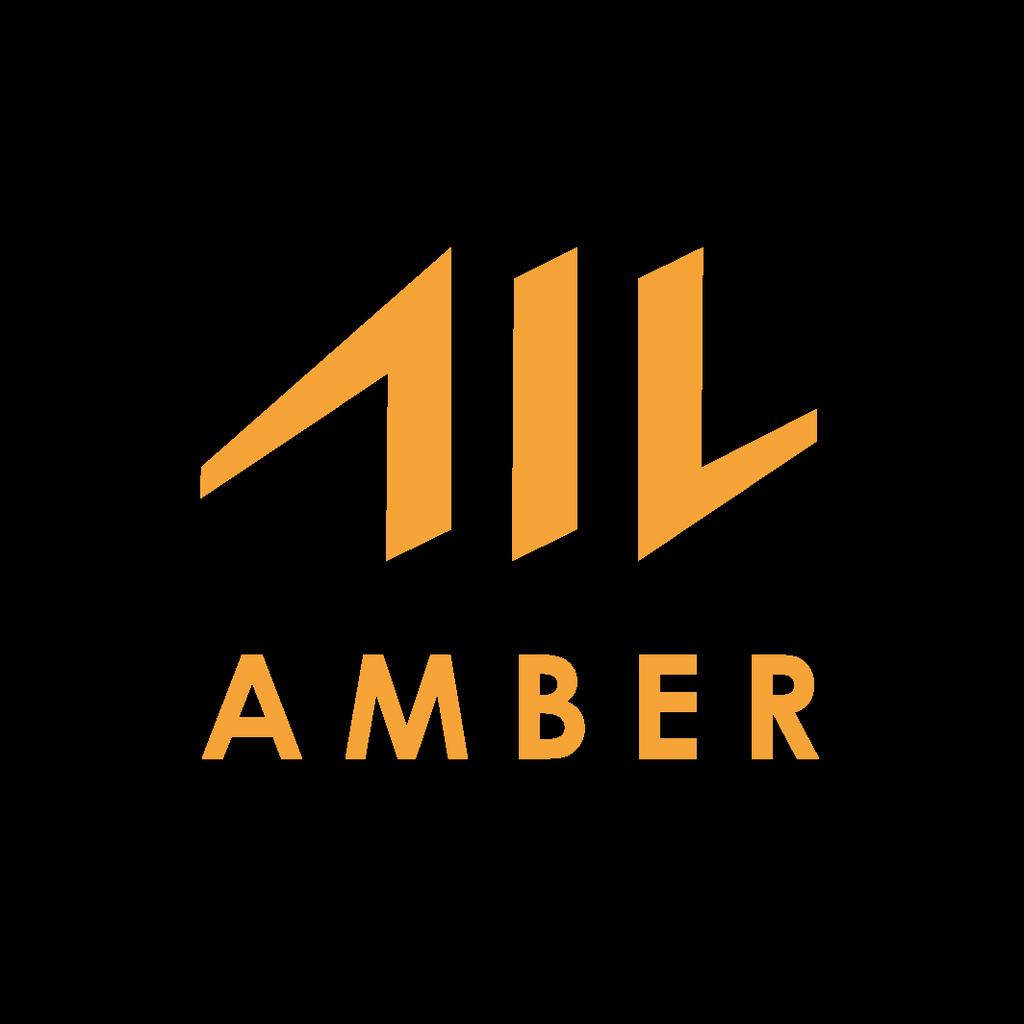 AMBER FAQ Wat is Amber?