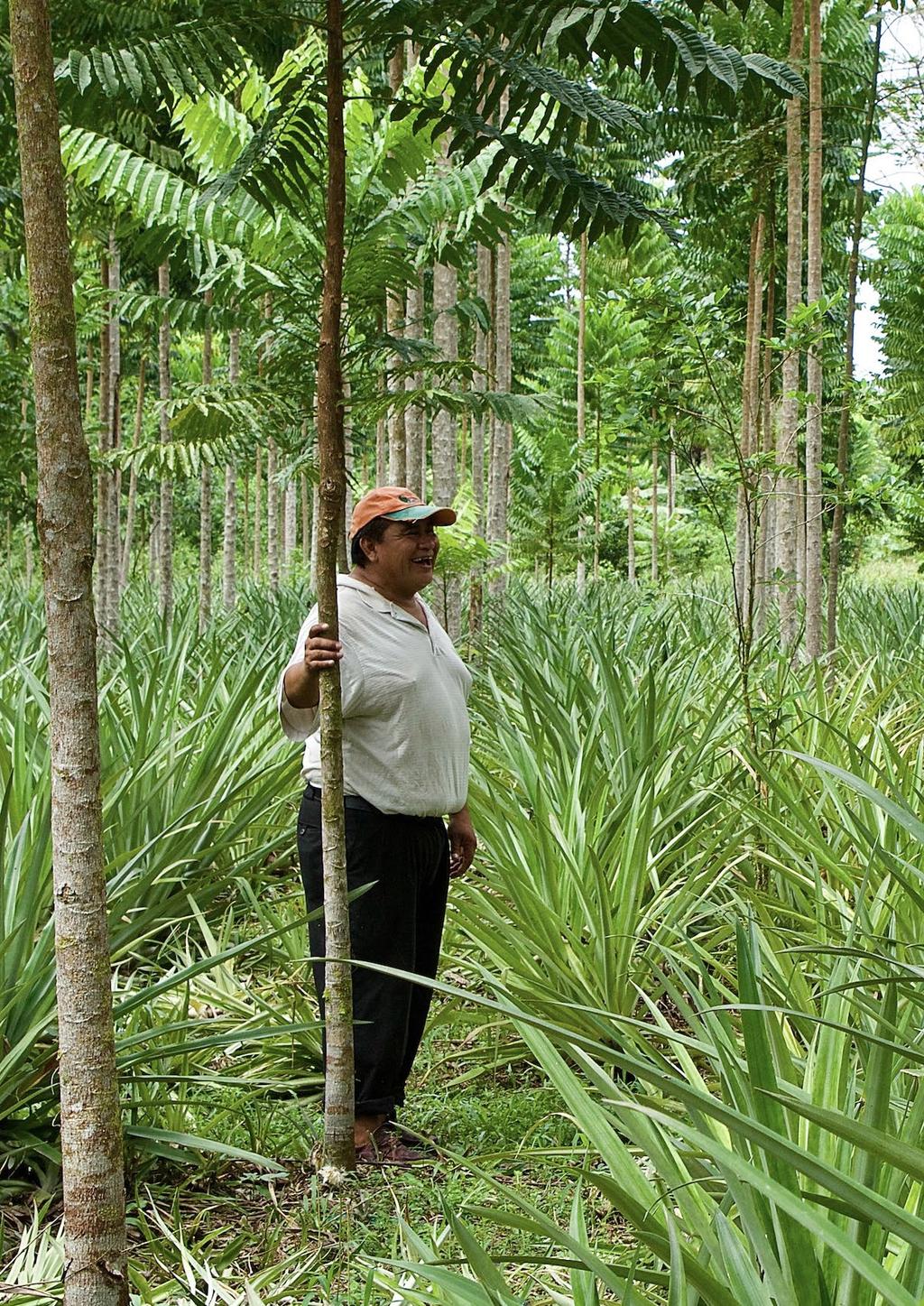 5.4 ONS PROJECT IN BOLIVIA Sinds 27 dragen wij bij aan meer bomen en bos in het project ArBolivia, een samentrekking van de woorden árbol (Spaans voor boom) en Bolivia.