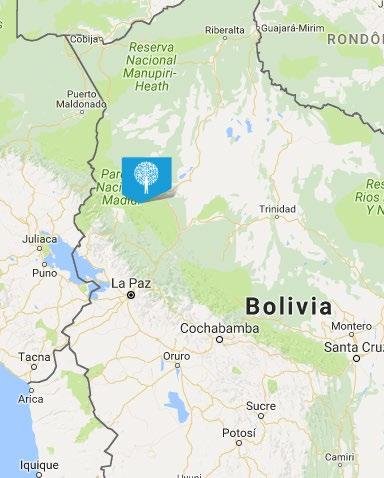 Daar hebben migranten uit verschillende delen van Bolivia zich sinds de jaren zestig gevestigd om landbouwgrond aan te leggen. Dit ging ten koste van het primaire oerwoud en de bodem raakte uitgeput.