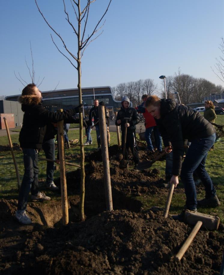 Groenvoorziening Het is al weer 10 jaar geleden dat MGB mee deed met het planten van klimaatbosjes.