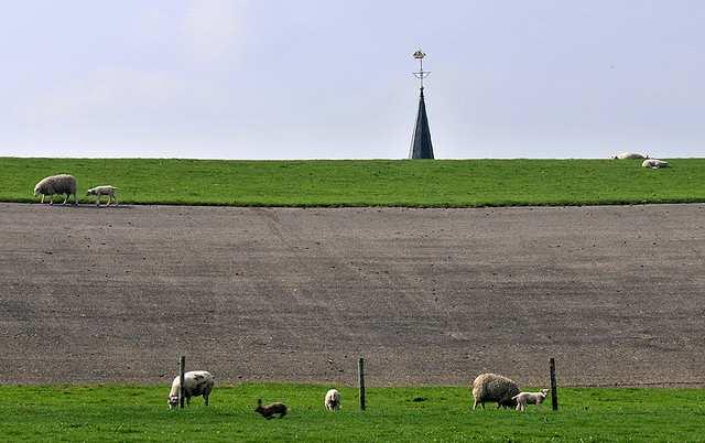 Asfaltbekleding kan worden vervangen door gras bij flauwer talud 3.