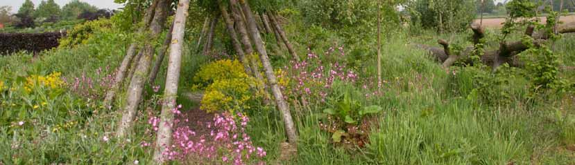 2. toepassingsmogelijkheden WildeWeeldeWereld in de Tuinen van Appeltern Openbaar groen Onze wildeplantenzaden en bloemenweidemengsels zijn vooral bedoeld voor de toepassing in het openbaar groen.