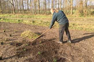 Intussen kunnen de zaden rustig kiemen. Stap 1: Planten uitzetten SNELLER RESULTAAT IN DE BLOEMENWEIDE DOOR INZAAIEN & AANPLANTEN TE COMBINEREN.