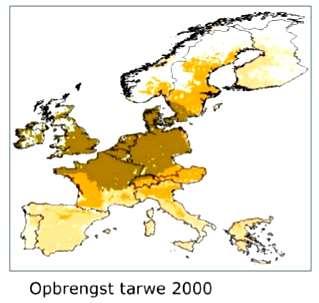 Tarwe-opbrengst (g plant -1 ) CO 2 bemesting is potentieel opbrengststimulerend bij C3 gewassen Respons Response tarwe of wheat op CO cultivars to rising CO