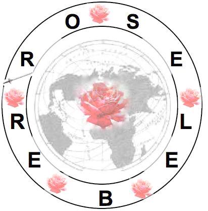 STICHTING ROSE REBEL ROSE REBEL