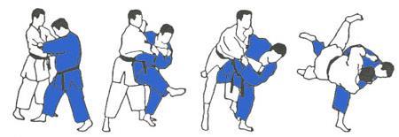 Judoprogramma