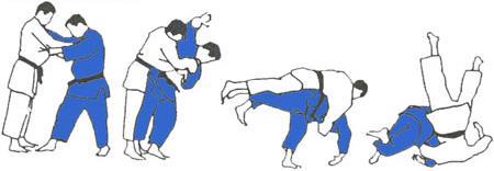 Judoprogramma Fudoshin