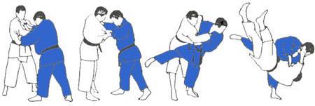 Judoprogramma