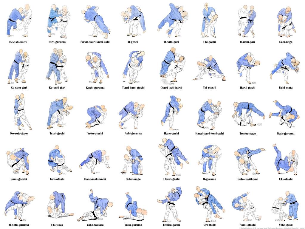 Overzicht Goyko-no-waza Judoprogramma