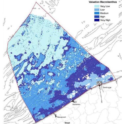 Kader 7: Beschouwing mogelijke effecten op het ecosysteem Bij beide alternatieven van het MRP wordt de aanleg van een testeiland voor de kust van Knokke-Heist voorzien.