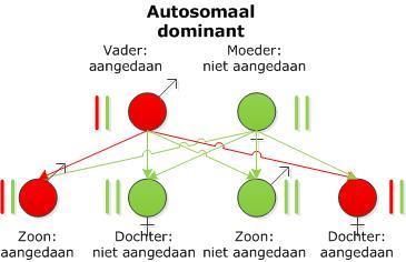 Wanneer een fenotype wordt veroorzaakt door een enkel gen/locus, is het overervingpatroon vrij eenvoudig weer te geven. De overerving gaat dan volgens een Mendeliaans patroon.