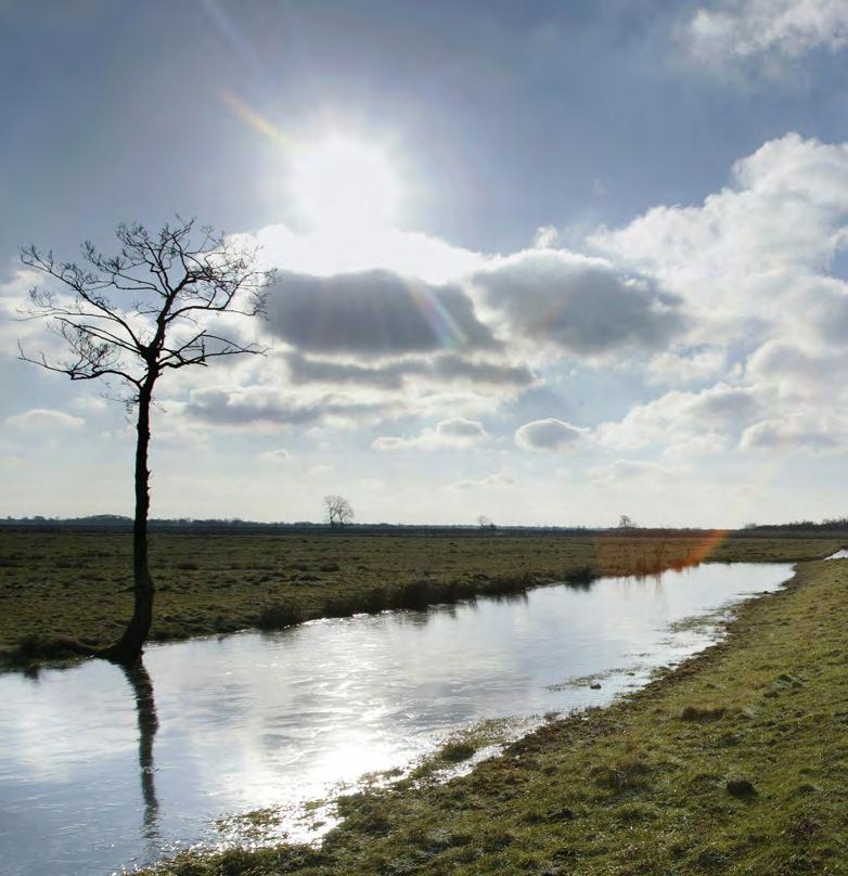 geleden een kostbare aanpassing van de A73 in Limburg af te dwingen. In de zomer drijft krabbescheer 2 op het water.