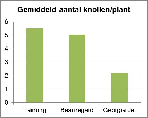 Figuur 4.3. Gemiddeld aantal knollen per plant per ras (rug en vlak samen). Figuur 4.4. Gemiddeld knolgewicht per ras (in kg voor rug en vlak samen).