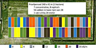 Zilte teelten: in zeewater geteelde voedsel producten zoals schelpdieren, zeewier, algen en op zilte gronden geteelde