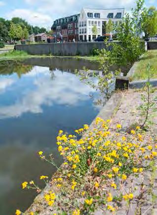 3.3 Ontwikkeling van de watertaken Binnen de watertaken zijn veel innovaties en ontwikkelingen.